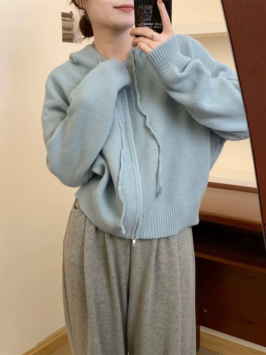 Vilora™ - Casual Zip Up Long Sleeve Hooded Cardigan