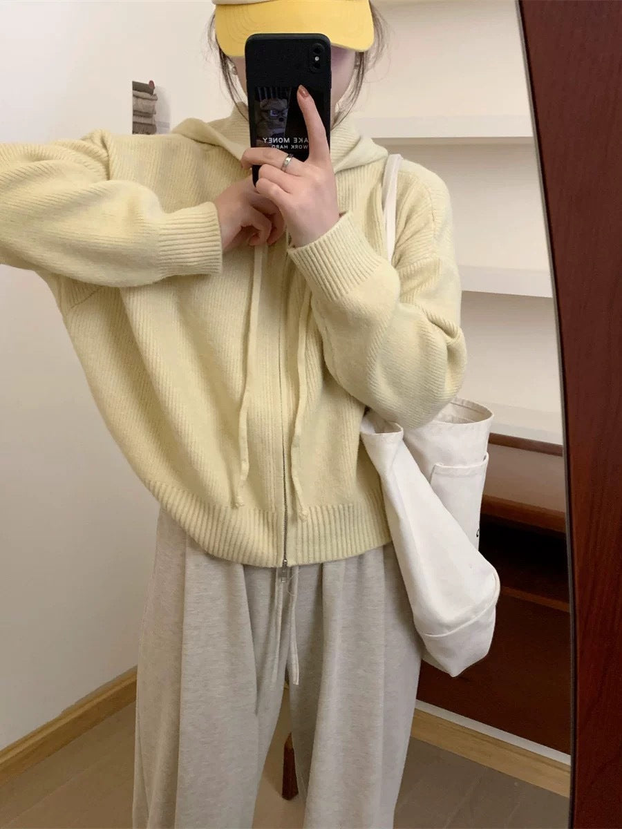 Vilora™  - Casual Zip Up Long Sleeve Hooded Cardigan